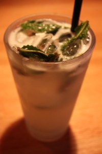 Mojito, drink, cocktail, dining, photography, TS76