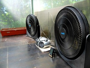 fans, radio, greenhouse, Parador Resort and Spa, Costa Rica