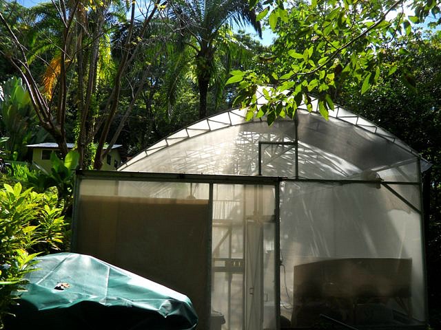 nvernero, greenhouse, Parador Resort and Spa, Costa Rica