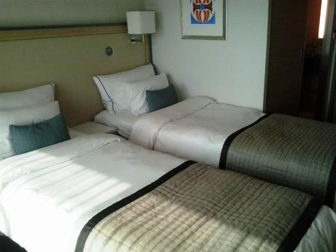 Viking Cruises, Viking Atla-Stateroom, stateroom 321, configuration, travel, river cruise