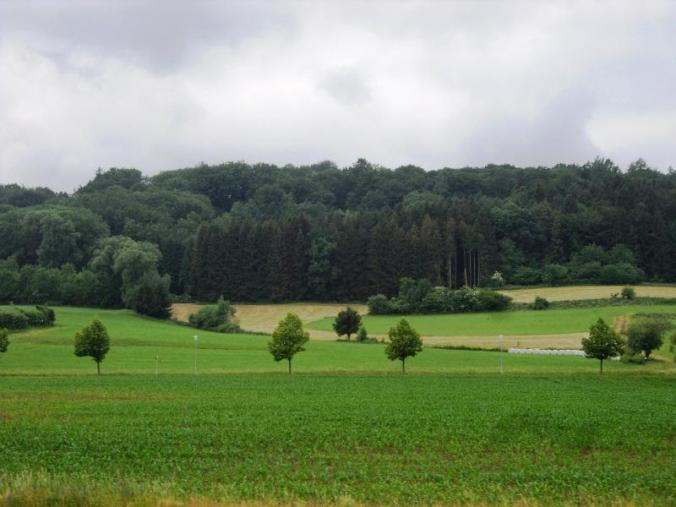 Viking Cruises, Viking Atla, Longship, river cruise, Main-Danube Canal, Germany, travel