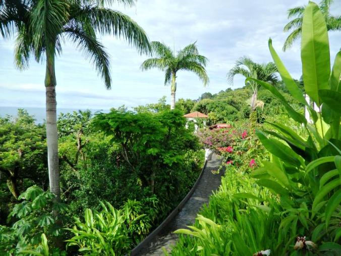 gardens, nature, outdoors, Parador Resort and Spa, Quepos, Costa Rica, Manuel, Antonio, hotel, travel, accommodation, luxury, luxury travel, Central America, Centro America, photography, TS76