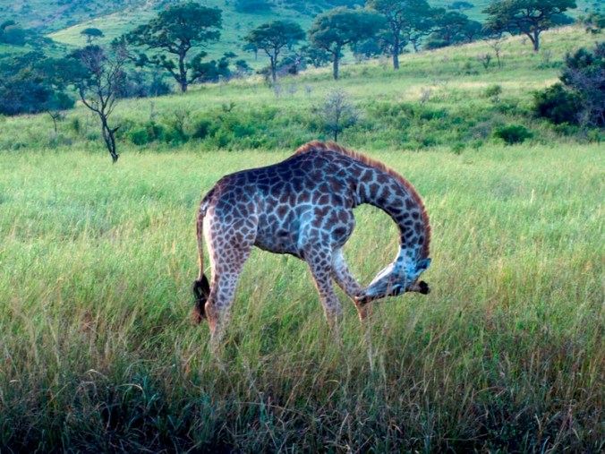 Jessica Lipowski, author, blogger, Flavors of Life, book author, travel blogger