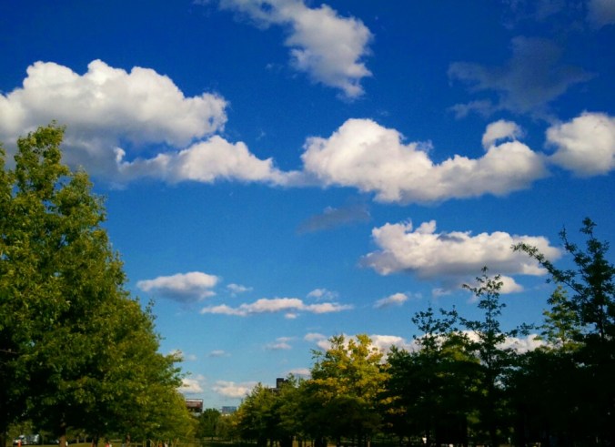 Instagram, nature, park, outdoors, photography, Montreal, Quebec, Canada, TS76