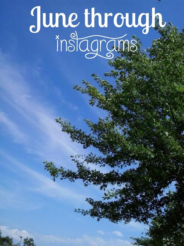 June Through Instagrams, instagrams, instagram, photography, TS76