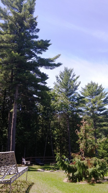 Amerispa, Morin-Heights, Quebec, reception, spa, spa review, Laurentians, Laurentides, photography, TS76