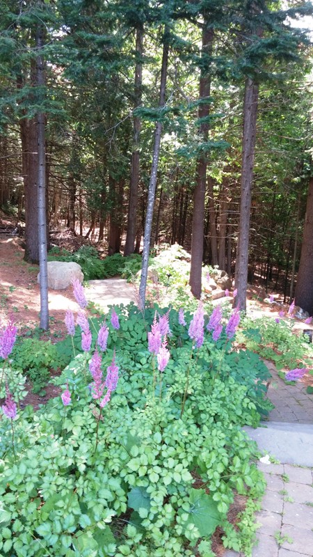 Amerispa, Morin-Heights, Quebec, reception, spa, spa review, Laurentians, Laurentides, photography, TS76