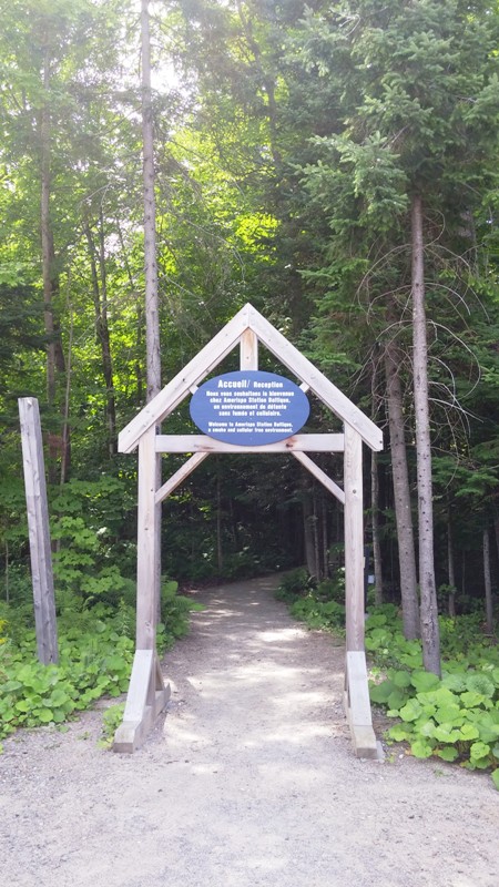 Amerispa, Morin-Heights, Quebec, spa, spa review, Laurentians, Laurentides, photography, TS76