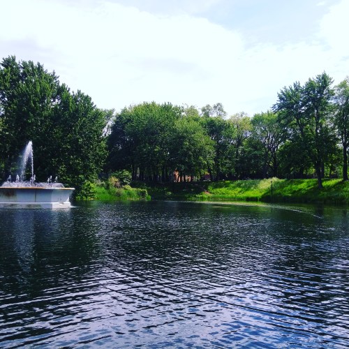 Water is the driving force of life