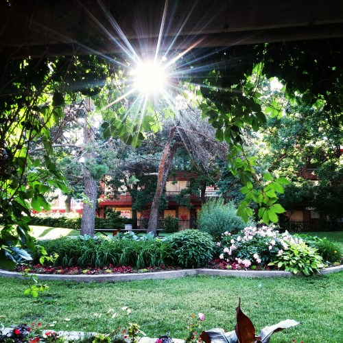 Let there be light! An urban oasis in the middle of the concrete jungle can reenergize and revitalize anyone who comes to visit.