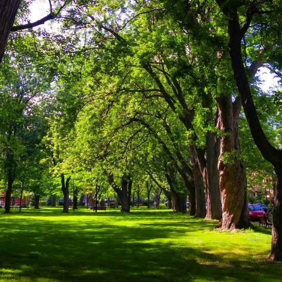 Green spaces, fresh air. Gorgeous park in Montreal, Quebec, Canada.
