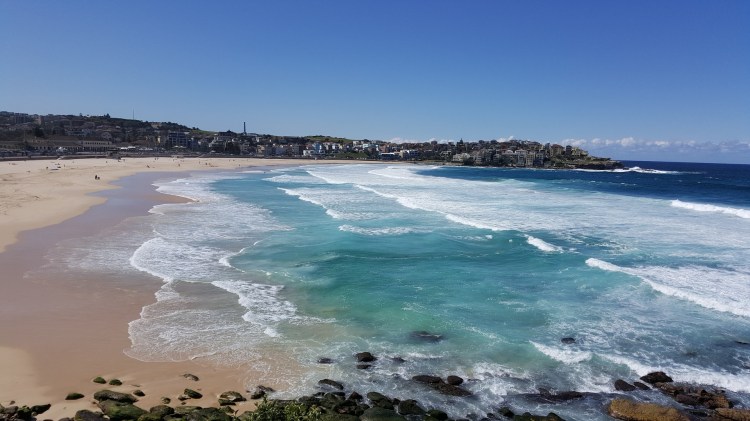 Located only 30 minutes from the Sydney city center, Bondi beach is a must visit for locals and visitors! #Australia #travel #Bondibeach #beaches